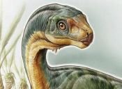 Chilesaurio, el dinosaurio que habitó nuestro país