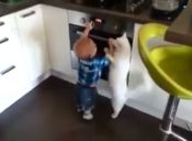 Video: Gato aleja a niño de un horno