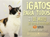 Fundación Adopta te invita a una nueva jornada de adopción