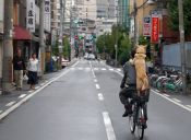 Japoneses arriendan perros para pasearlos