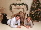 Conoce a Stepan, el osos pardo que vive con una familia rusa