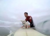 [Video] Un simpático chihuahua surfea con su dueño