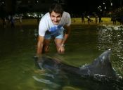 Roger Federer alimentó a delfines nariz de botella en Australia