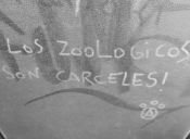 El debate sobre los zoológicos: ¿Son verdaderamente seguros?