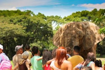 Costa Rica: Ejemplo de respeto por los animales y el medio ambiente