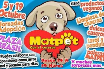 Jornada de adopción para perritos del refugio 