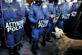 Grecia: Perrito símbolo de protestas falleció por alta exposición a productos químicos