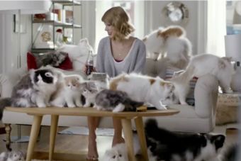 Decenas de gatitos acompañan a Taylor Swift en comercial de bebida