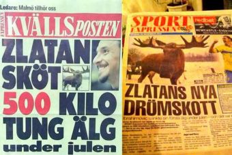 Grupos animalistas repudian a Zlatan Ibrahimovic por cazar a un alce en Suecia
