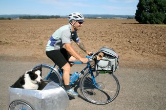 Tips para andar en bici con tu perro