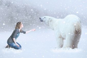 ¿Sabías que hoy 27 de febrero es el Día del Oso Polar?