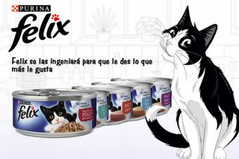 FELIX: Comida irresistible para gatos ingeniosos