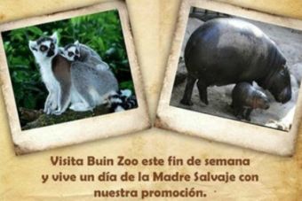 Buin Zoo invita gratis a las mamás a celebrar su día en una 