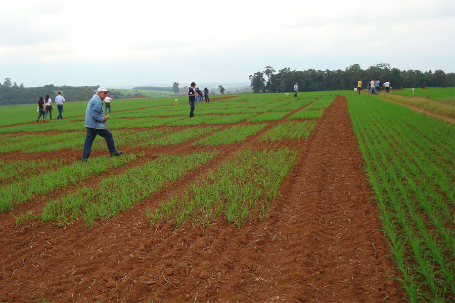 Agronomos dentro de las profesiones más Agronomos dentro de las profesiones más