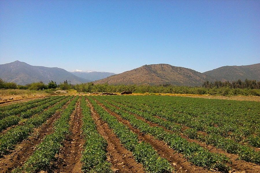 Por qué estudiar Agronomía? - PSU