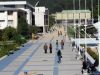 Universidad de Concepción triplicará admisión mediante PACE para el próximo año