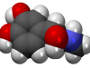 Preguntas PSU de Ciencias – Biología