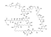 PSU Química: Química orgánica