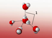 Preguntas PSU de Ciencias: enlace por puente de hidrógeno