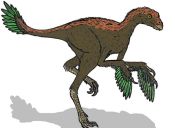 ​Preguntas PSU Ciencias: Teoría de la Selección Natural de Darwin