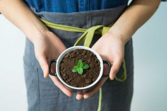 ¿Qué estudiar si te gusta la ecología?