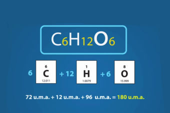 PSU Biología: Estequiometría