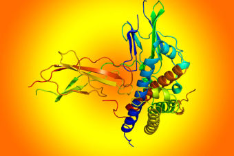 PSU Biología: Hormonas