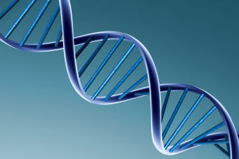 PSU Biología: transducción