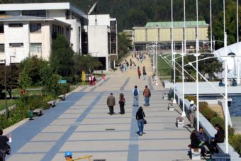 Universidad de Concepción triplicará admisión mediante PACE para el próximo año