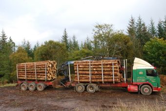 Puntajes de corte: Ingeniería Forestal 2015