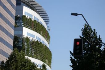 ​Puntaje de Corte: Ingeniería Ambiental