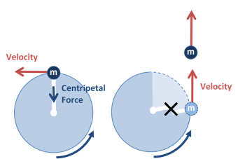 ​Preguntas PSU Ciencias: Movimiento circunferencial uniforme