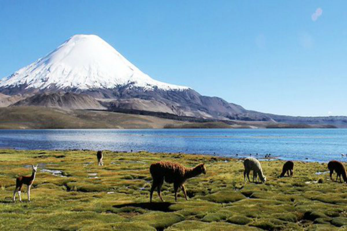 Turismo aventura natural en Chile: 3 atractivos del Norte Grande