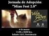 Miau Fest, Vida de Gatos 2016