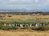 Recorriendo Chile: Parque Pingüino Rey, Bahía Inútil. Tierra del Fuego.