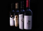 Andes Wine abre su primer Duty Free en zona oriente de Santiago, Chile