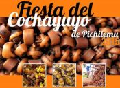 Fiesta del Cochayuyo 2015 de Pichilemu