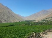 Recorriendo Chile: Valle del Elqui, Región de Coquimbo