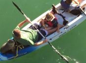 Lobo marino se suma al paseo en kayak de una familia