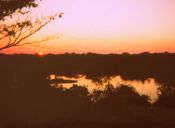 La Amazonía, recuerdos de un viaje que cambió mi vida