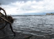 El encanto de Rio Pescado (Puerto Varas)