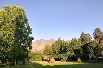 Fiesta de la Vendimia del Valle del Maipo, Buin