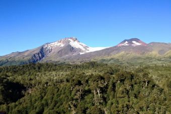 Recorriendo Chile: Neltume, Región de los Ríos