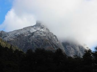 Recorriendo Chile: Parque Tagua Tagua