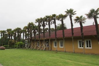 Recorriendo el museo Pedro Enrique Zañartu y la desembocadura del río Biobío