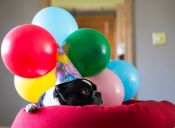 16 cosas que pasan en la víspera de tu cumpleaños