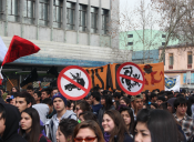 Estudiantes anuncian marcha tras el rechazo del Congreso a sus indicaciones a la reforma