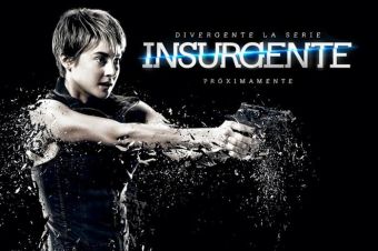 Celebra este jueves el Día Mundial del Fan de Insurgente