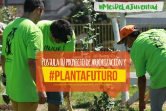 #PlantaFuturo: INJUV y CONAF financian proyectos de arborización comunitaria