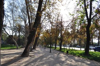 Vecinos del Parque Forestal piden a la Intendencia no autorizar marcha de secundarios